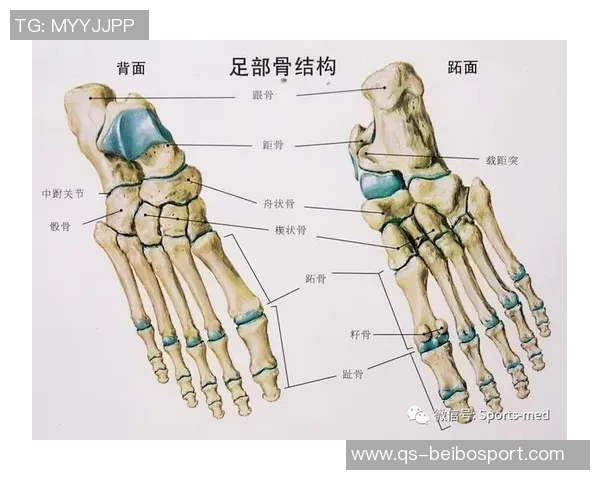 弗兰克谈小卡伤情揭示脚踝问题背后的复杂性与脚部损伤情况 弗兰克谈小卡伤情揭示脚踝问题背后的复杂性与脚部损伤情况